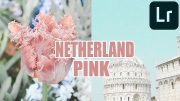Netherland Pink Presets | Free Lightroom Mobile Preset Tutorial 2019 | Macky Travel Preset