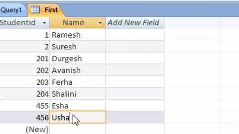 How to increment or decrement auto number according to your wish in ms access in hindi and english