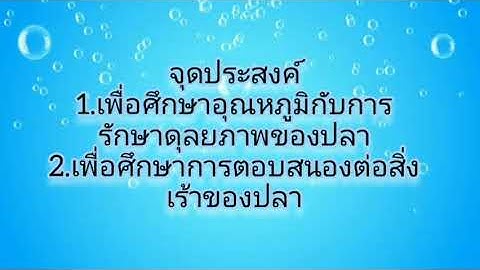 การร กษาด ลยภาพของปลา อ ณหภ ม ท ต างก น