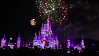 Disney World Fireworks
