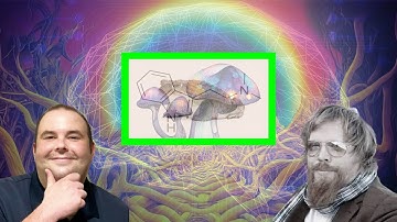 Dr. Peter Sjöstedt-H discusses the Metaphysics of Psychedelics