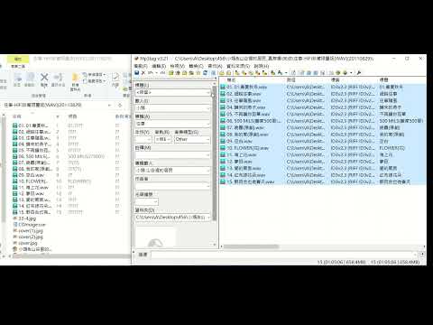 003-單曲的簡體標籤出現問號亂碼的解決方法_230808154006