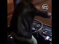 لما مراتك تقولك أنا هروح اقعد عند امي اسبوع لما مراتك تقولك أنا هروح اقعد عند امي اسبوع