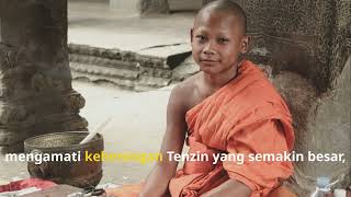 The Overflowing Mind  A Monk's Journey