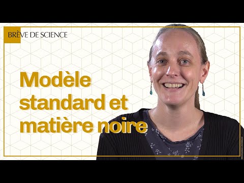 Modèle standard et