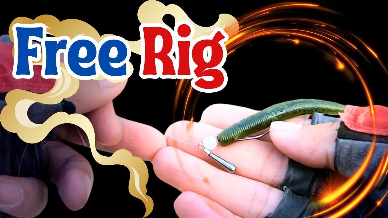 Bass Fishing 101: The Free Rig Technique and Bait Finesse Tips 