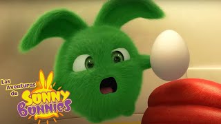 Las Aventuras de Sunny Bunnies | PASEO EN HUEVOS DE POLLA | Dibujos para niños by Las Aventuras de Sunny Bunnies 7,207 views 2 months ago 2 hours, 55 minutes