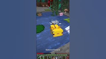 I named an axolotl jeb  in Minecraft #shorts