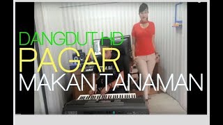 PAGAR MAKAN TANAMAN DANGDUT YAMAHA PSR 970 COVER