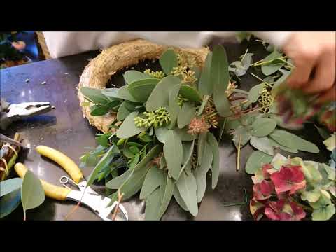 Video: Ako vypestujete dúhový eukalyptový strom zo semienka?