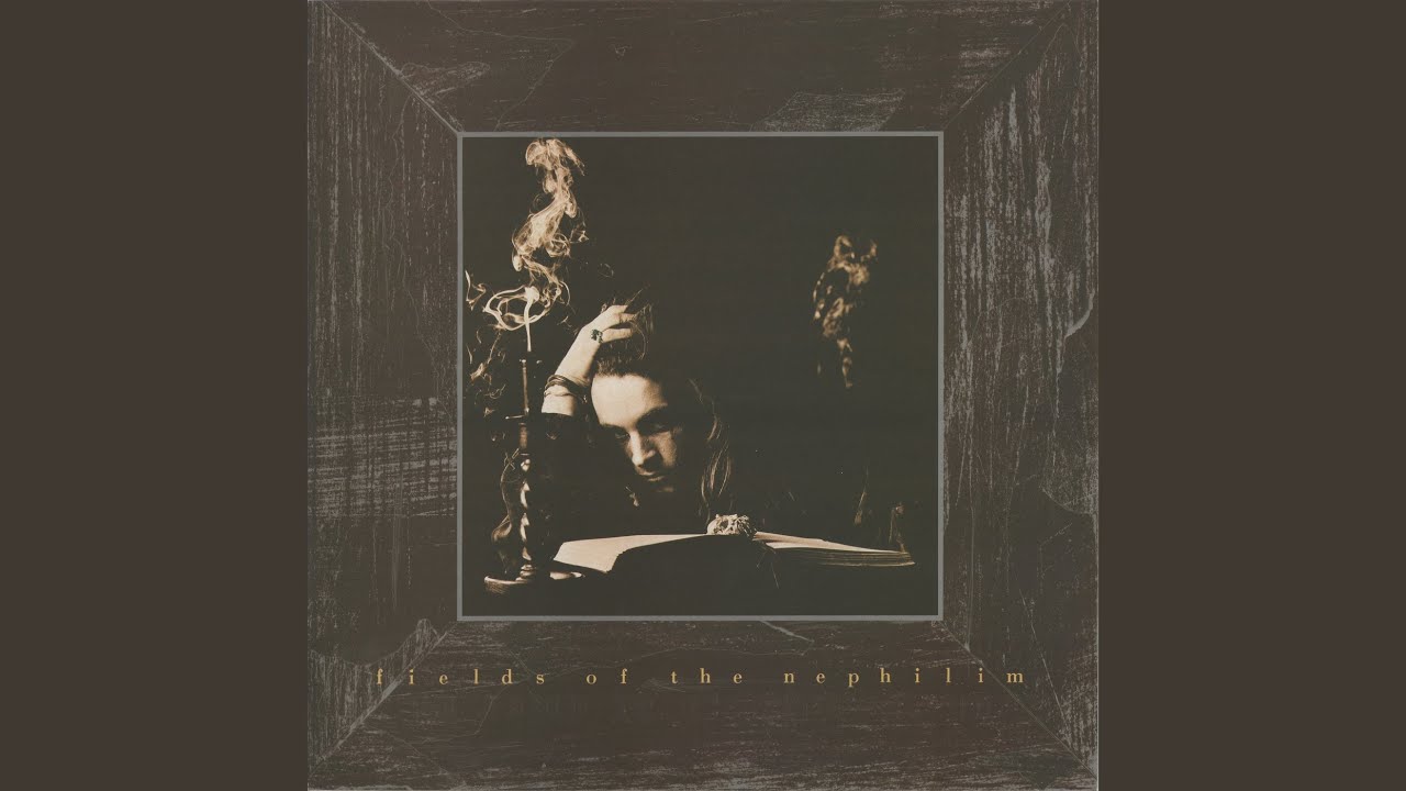 Vet for the Insane (Live)