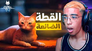 STRAY😺|😕القطة الضائعة