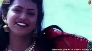 1992 - Chembaruthi - Puthu Naal Idhuve - Video Song Tv Audio