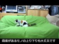 プロテクター着用の動作確認