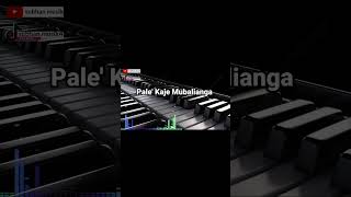 Download Lagu Pale kaje mubalianga #lagubugiscover #lagubugistop#bugiscover #lagubugisterbaik MP3