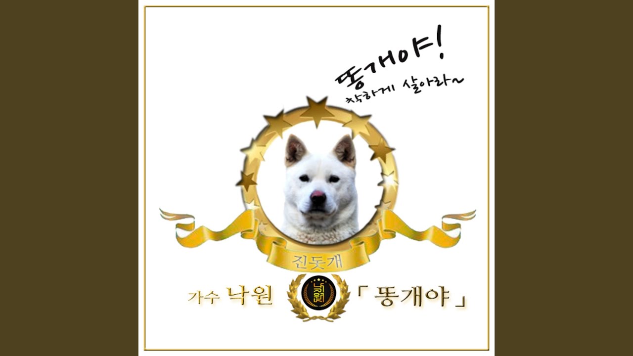 YouTube에서 살리고 보기