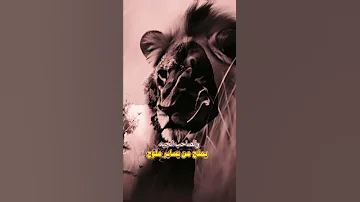 ذي ما امتلح من امه في الحياة امتلح وجع مگتوم خذلان خيبة وجع حزن غياب وجع فراق دموع خذلان صدمة 