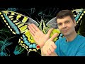 🌑  Теория Хаоса и Эффект бабочки подарят море бесплатной энергии  Butterfly Effect  Игорь Белецкий