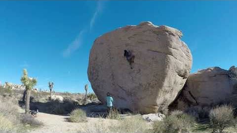 Joshua Tree: Slashface(V3)
