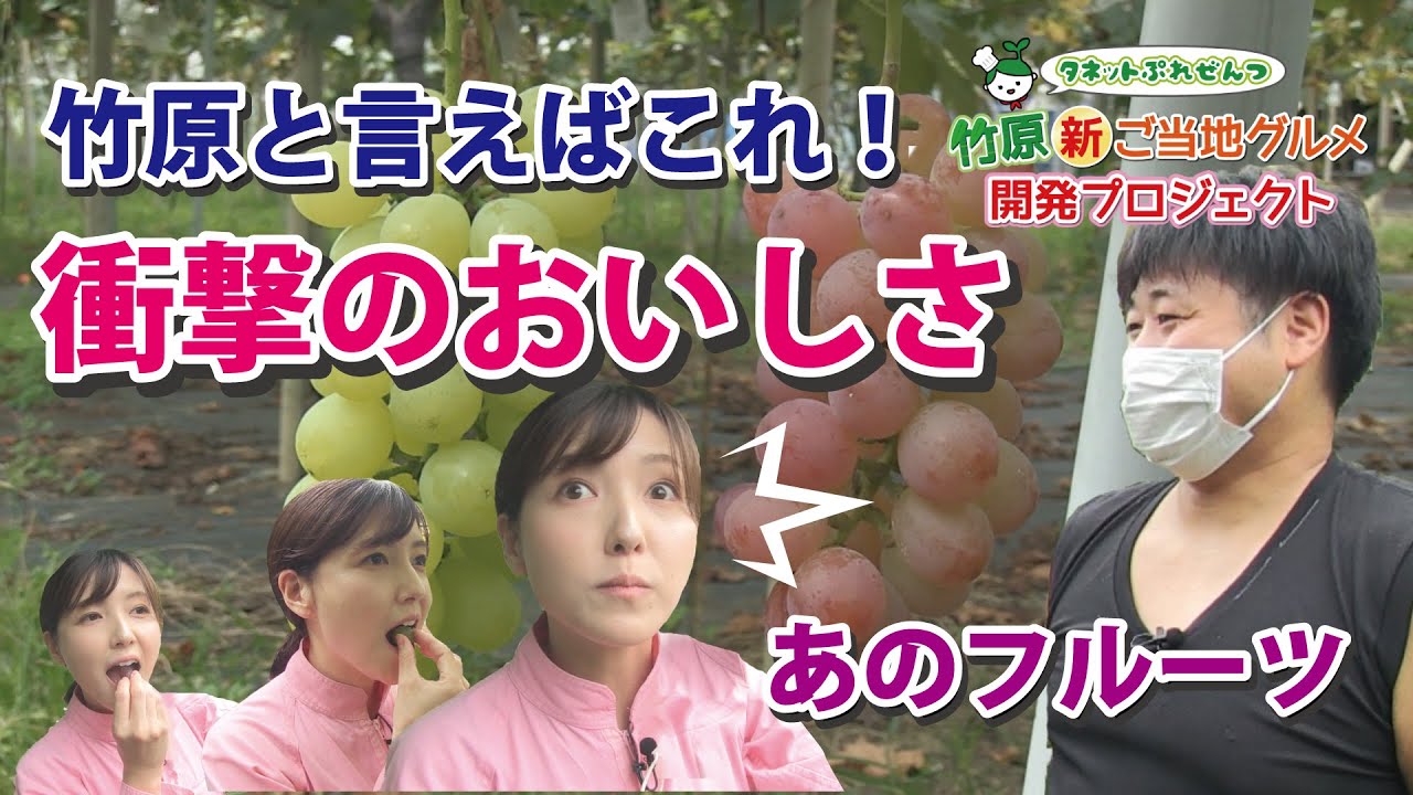 タネットぷれぜんつ 竹原 新ご当地グルメ開発プロジェクト ７ Youtube