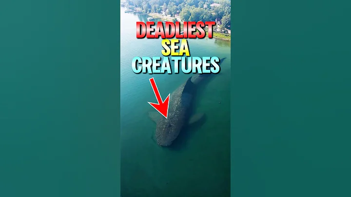 Top 5 The Most DEALIEST SEA CREATURES!😱 thumbnail