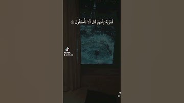 قرآن كريم سعود الشريم سورة الذاريات #سعود_الشريم #القرآن_الكريم #غزة #فلسطين #ضحك #قرآن #عمان #حالات