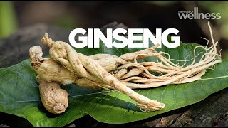 The health benefits of ginseng for stress, energy, and supporting a healthy libido