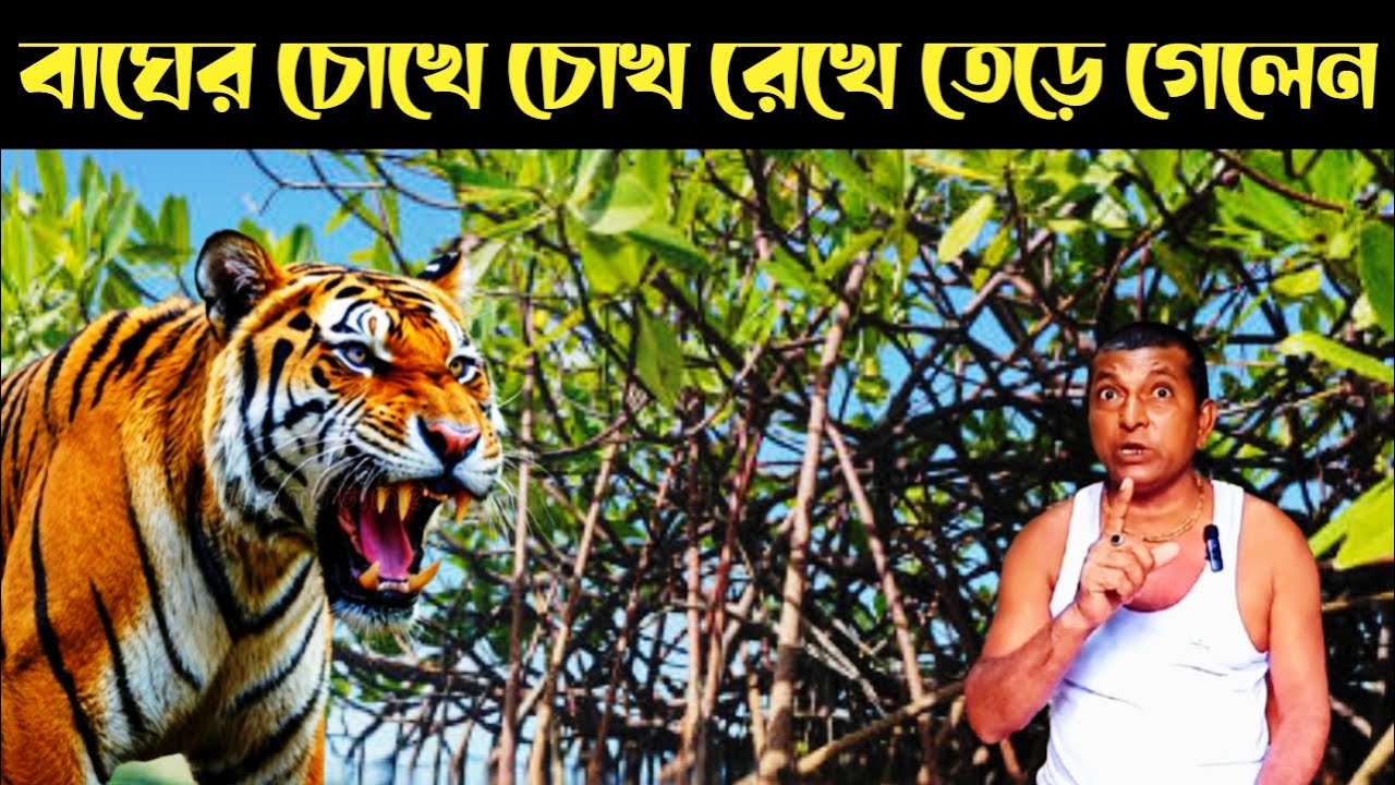 মাছ ধরতে গিয়ে বাঘের সামনে পড়ে গেলেন || Sundarban Fishing || Sundarban Tiger