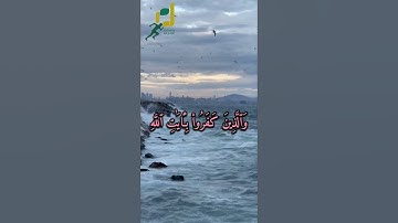 الشيخ يونس اسويلص| تلاوة تريح القلب