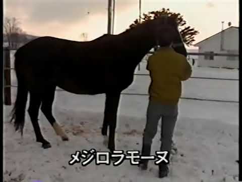 The Glorious Mejiro Ramonu 