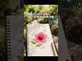 🌎#ytshorts#youtubeshorts#viral#viralvideo #viralshorts #viral #thoughts
