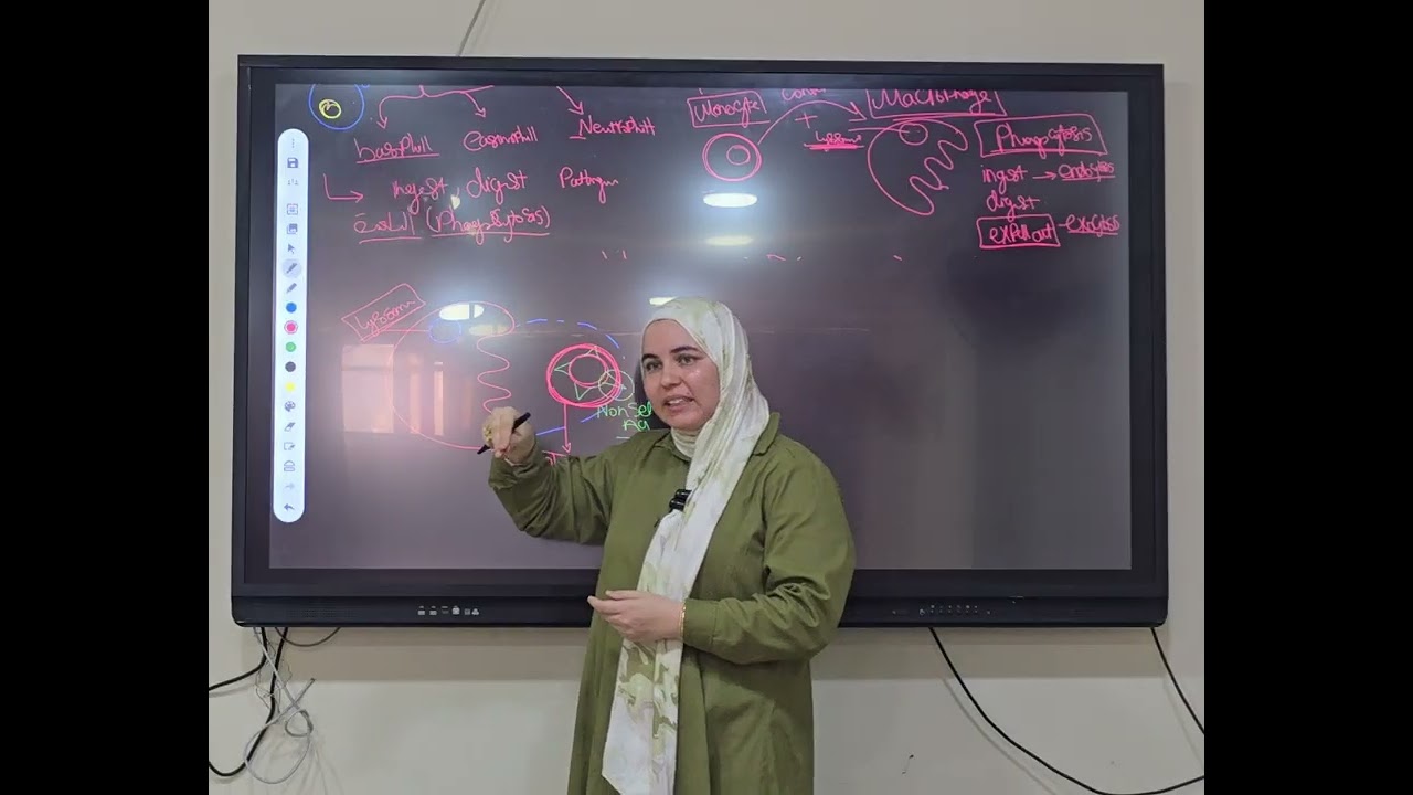 Immunity in human lesson 2 part2