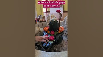 कार्तिक मास में हल्दी और कुमकुम का उपाय #pradeepmishra #shorts #shivmahapuran #shiv @blessed_aryan