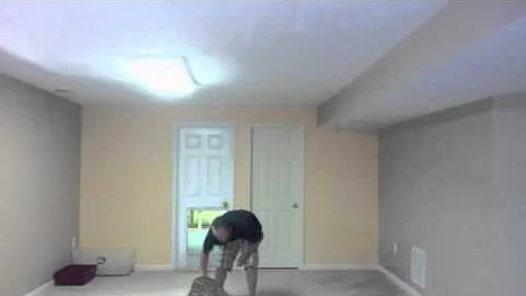 Video 1488041: savannah serval, serval jump