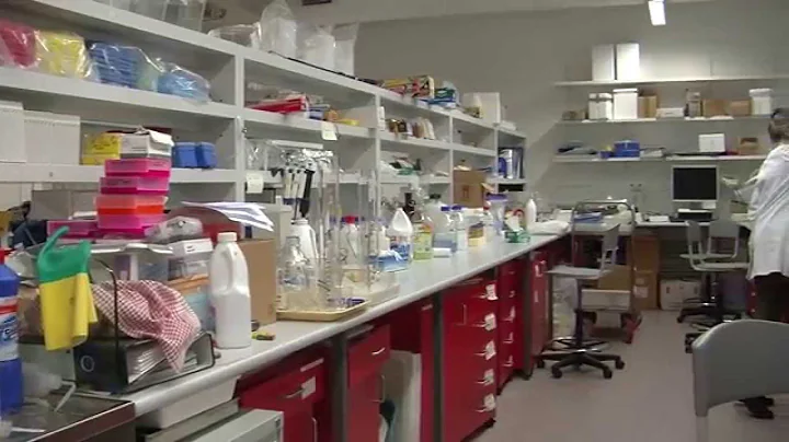 The Art of Science Education