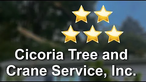 Cicoria Tree Service - Five Star Review for Tree R...