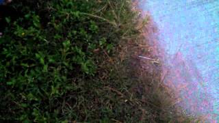 20120812 121755