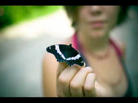 نوال الزغبي معرفش لية  3  