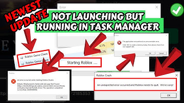 Fix Roblox crashing issues at startup