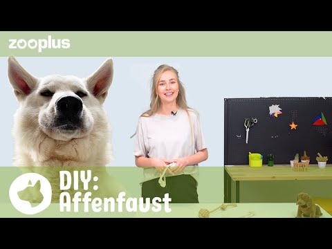Video: Super einfache diy doggy seil spielzeug