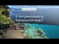 60 секунд о Байкале. В чём уникальность байкальской воды?
