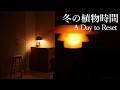 【VLOG】冬の植物時間｜カットして棚を整える日