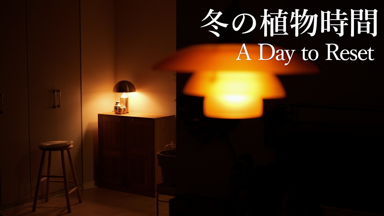 【VLOG】冬の植物時間｜カットして棚を整える日