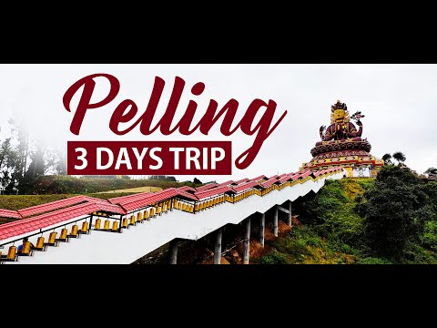 3 Days Tour plan of Pelling | Pelling 3 Days Trip | Travel Buff