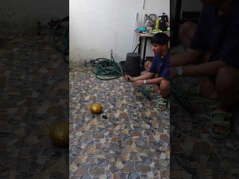 Mantap nih