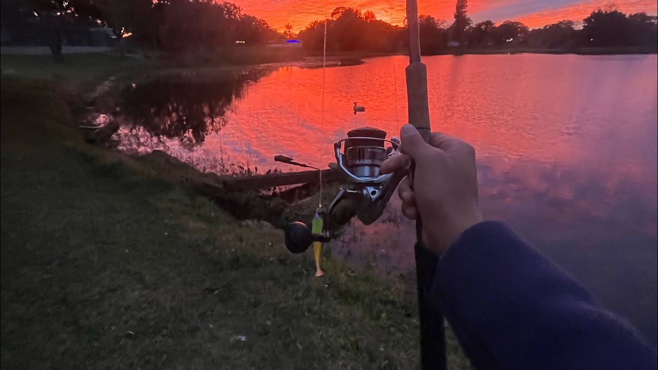 2025 FISHING compilation #bassfishing #fishing #fishingequipment #memories #wholesome #viral