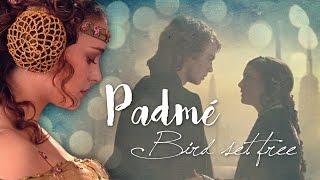 Padmé Amidala (Tribute) | Bird set free