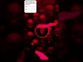 TIPO NINO VS KABRINHA SLOWED TIPO NINO VS KABRINHA SLOWED