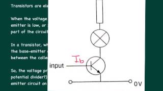 Celebrity P6.4 Transistors Profile