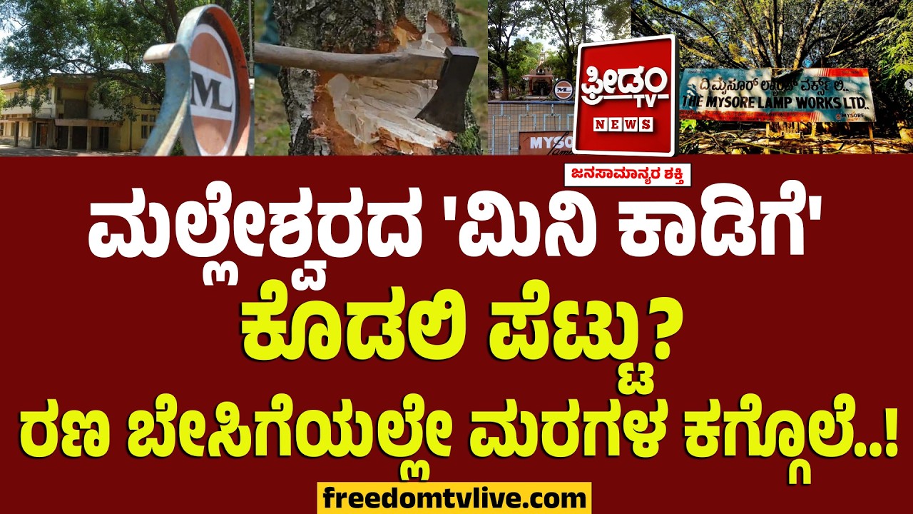 Trees At Mysore Lamp : ಮಲ್ಲೇಶ್ವರದ 'ಮಿನಿ ಕಾಡಿಗೆ' ಕೊಡಲಿ ಪೆಟ್ಟು? ರಣ ಬೇಸಿಗೆಯಲ್ಲೇ ಮರಗಳ ಕಗ್ಗೊಲೆ..!